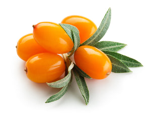 Sea Buckthorn